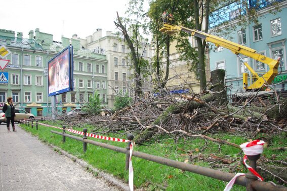 Вырубка деревьев в сквере на Петроградской набережной у Сампсониевского моста