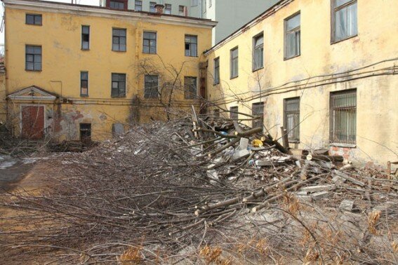 Вырубка деревьев на Лейтенанта Шмидта, 21-23