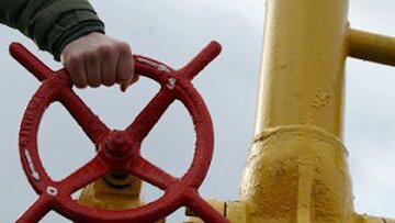 Новый газопровод в Красном Селе обеспечит газом около 300 домов