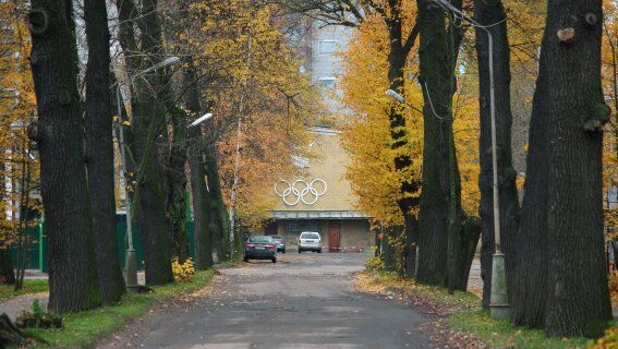 Территория спортивного комплекса «Динамо»