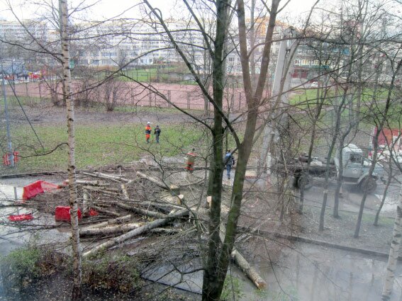 Коммунальная авария на Зины Портновой, 25, спил деревьев