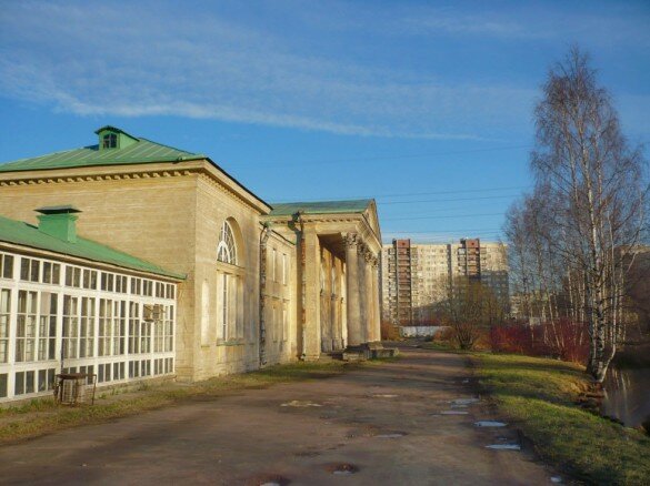 Дача Безобразовых на Ириновском требует реставрации