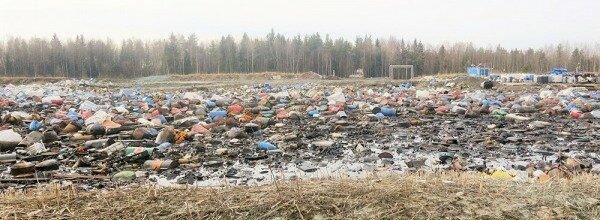 Межмуниципальная инициатива по экологической безопасности Петербурга и Ленобласти