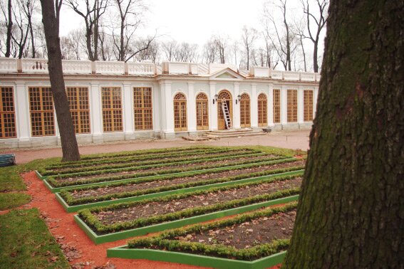 Летний сад, реконструкция Летнего сада
