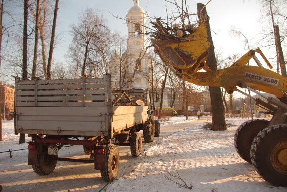 Рубка стволов и веток в сквере возле Князь-Владимирского собора