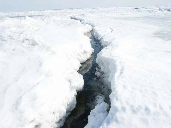 На Финском заливе полдня снимали рыбаков с отколовшейся льдины
