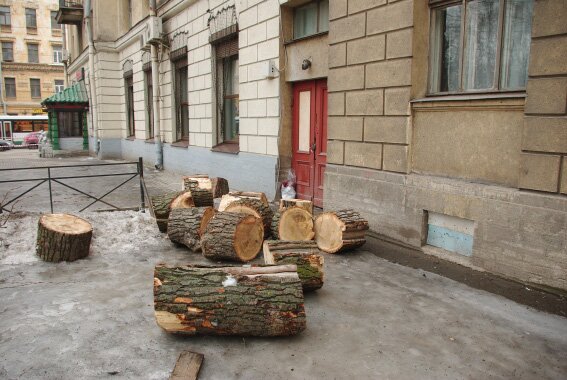 Вырубка деревьев в сквере на Лесном проспекте, улице Комиссара Смирнова