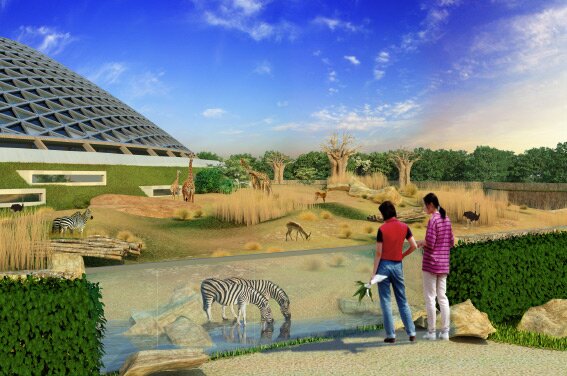 Переносить новый зоопарк в Удельный парк из Юнтолова не будут