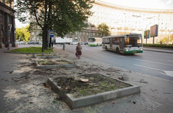 Вырубка деревьев на Комсомольской площади