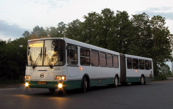 Ночные автобусы на улицах Петербурга