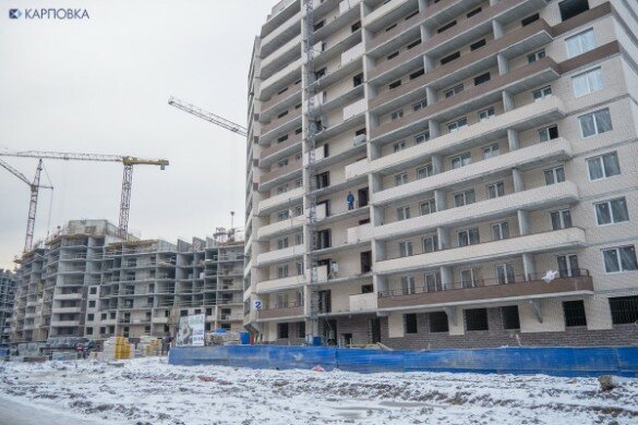 Застройщиков вынудят озеленять кварталы новостроек в Петербурге