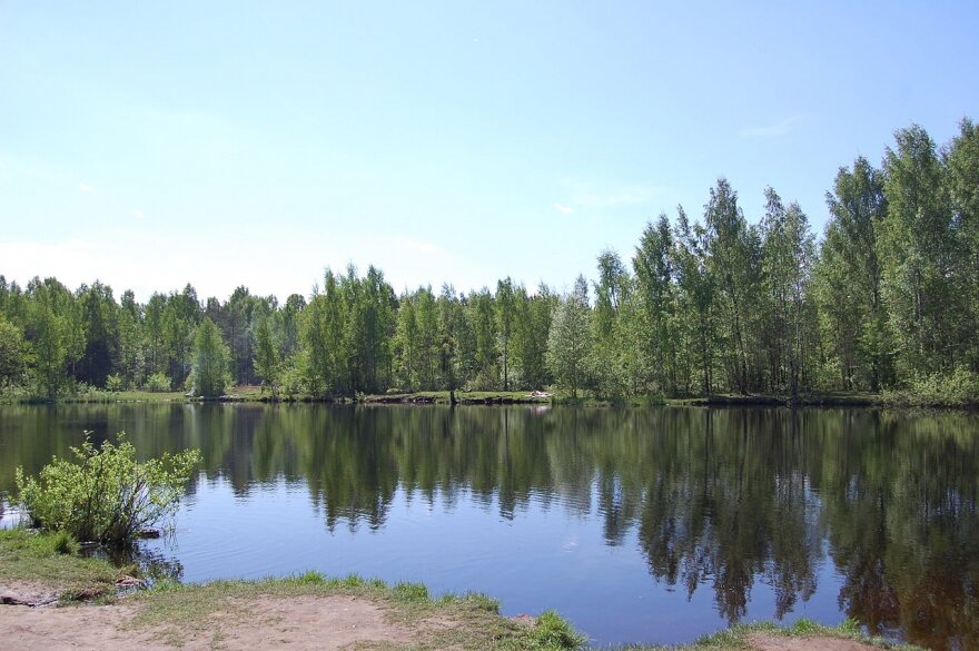 Озеро в парке Сосновка